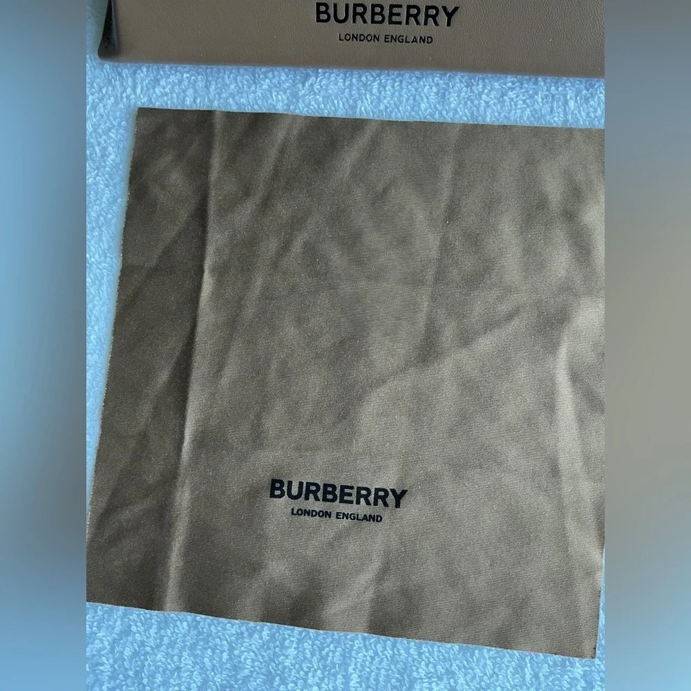 Burberry brown magnetic triangle sunglasses case
